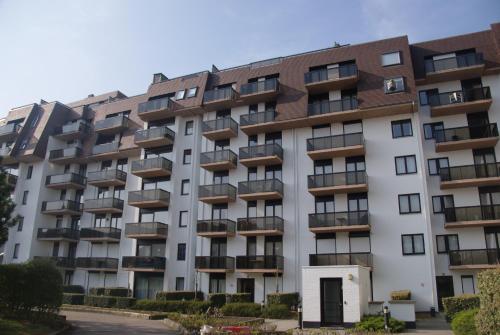 One-Bedroom Apartment (4 Adults) image 8