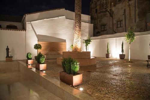 Palacio Caceres Deluxe