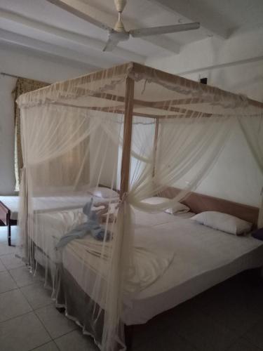 2 twin beds
