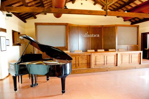 Vallantica Resort & SPA - image 8