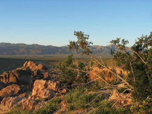 De Anza Golf Course Cottage Home in Borrego Springs (CA) - reviews, prices  | Planet of Hotels