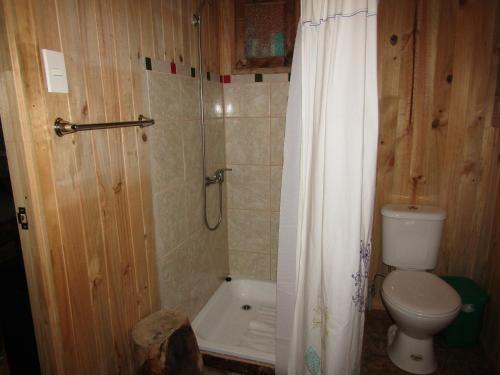 Bathroom, Refugio de Montana Kultrun Mawida, habitacion bano y cocina privada-No cobramos IVA in Curacautin