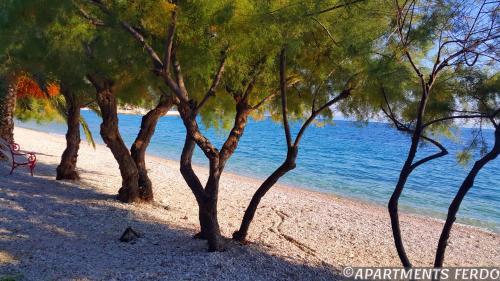  Apartments Ferdo, Pension in Živogošće bei Dragljane