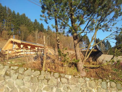 Der Nesselbacher - image 7