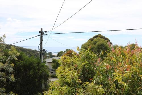 Lorne Haven, Lorne (fotografie 8)