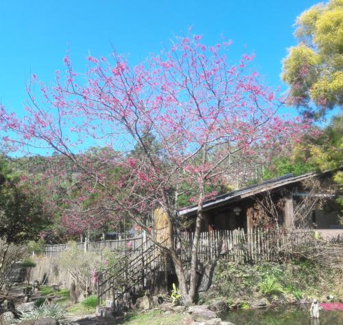 Bright Moon Homestay