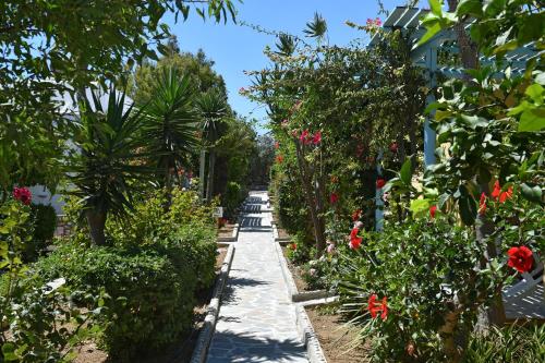 Surfing Beach Village Paros - image 7
