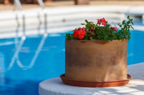 Casa Atalaya en Villa de Nijar con piscina