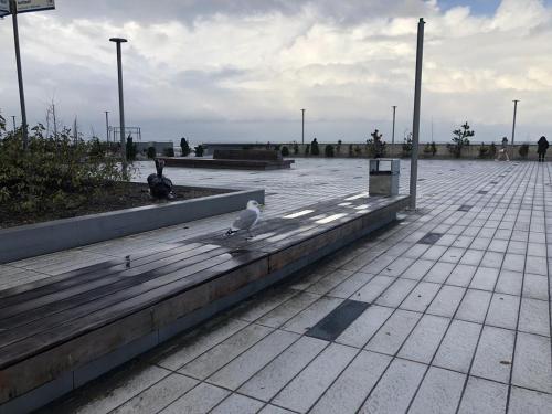 Apartament Beata Zielone Tarasy Apartament Beata Zielone Tarasy