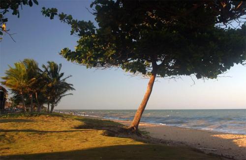 ที่เที่ยวใกล้ที่พัก, Flat Condominio Gaivotas Alcobaça BA a 100 metros do mar (Flat Condominio Gaivotas Alcobaca BA a 100 metros do mar) in อัลโกบากา