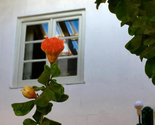 Residencial Avenida Hostel - image 3