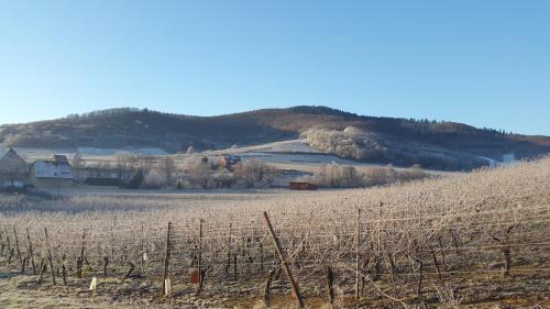 Between Colmar and Kaysersberg - 'LE GITE D'AMMERSCHWIHR' - TripAlsace