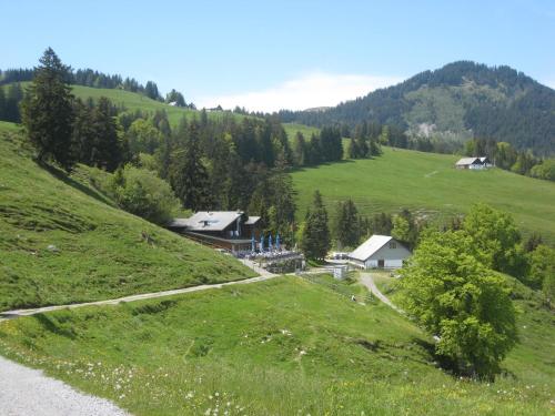 

Montlinger Schwamm