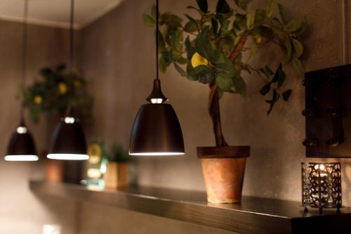 Saga Hotel Oslo; BW Premier Collection - image 9