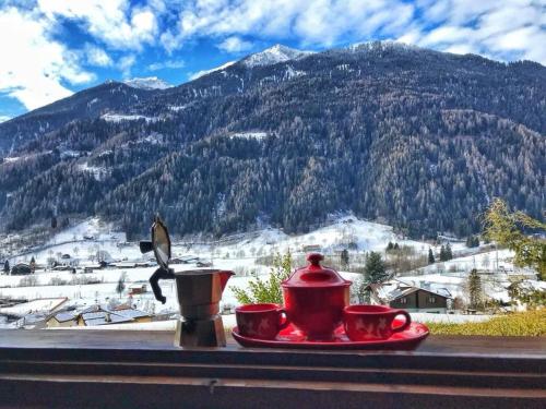 Skats, Snow Home Apartment - CIPAT 022093-AT-381181 in Giustino