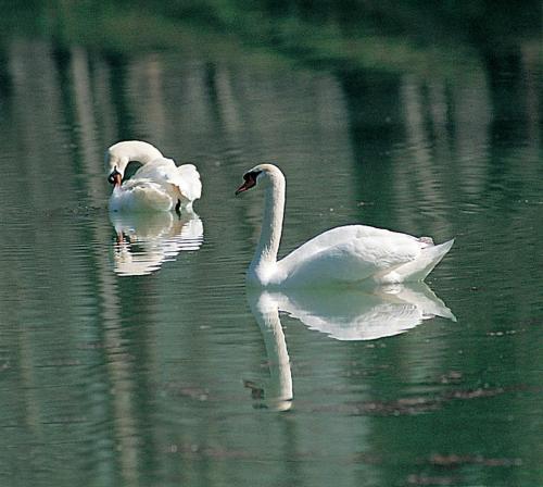 Relais Todini - image 12