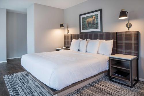 Hotel Ketchum - image 7