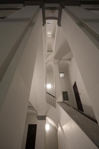 Rapanus Suites - image 12