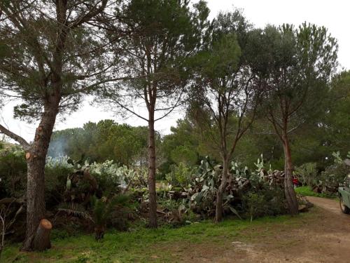 Kert, Casa Nicoletta in Ustica