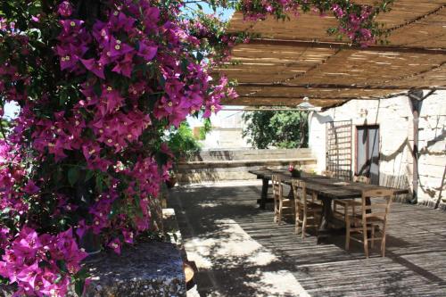 Castello di Casamassella Castello di Casamassella