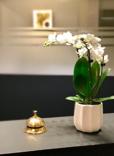Hotel Jardin Bern - image 6