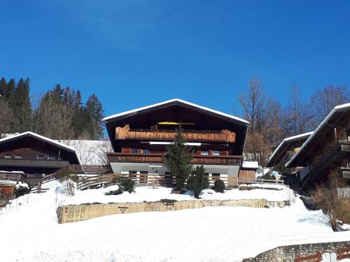 Gondelblick - Apartment - Alpbach