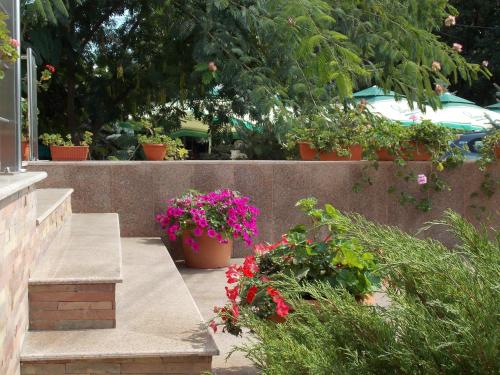 Hotel Holiday - image 8