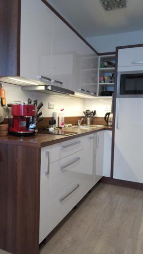 Küche, Apartmany Rysi skala in Loucna Nad Desnou