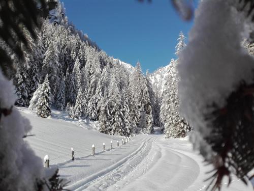 Bed & Breakfast Dolomiti Bey Haus Pinter