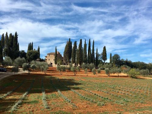 La Tenuta di Castelvecchio