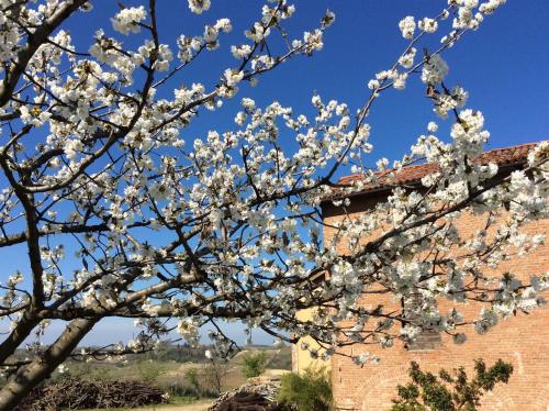 Cascina Valtignosa Camere Con Vigna