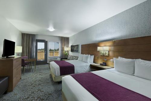 Oxford Suites Sonoma - Rohnert Park - image 3