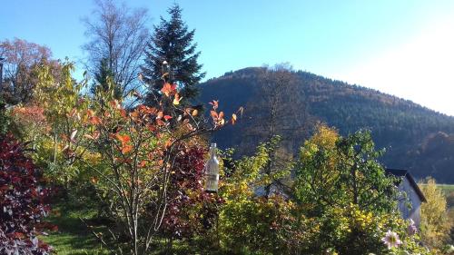 Apartment Schoenblick in Niedersfeld