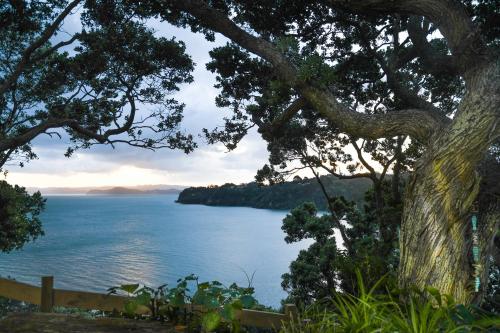 Auckland Clifftop, Auckland (photo 6)