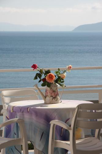 Вид, Hotel Villa Ombrosa in Портоферайо