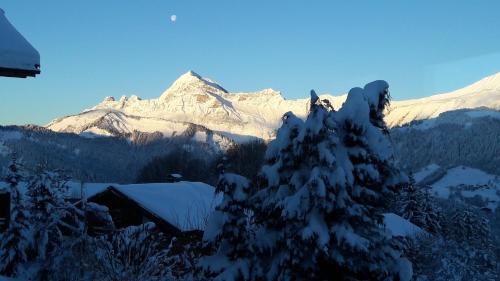 Le Caprice Des Neiges