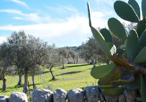  Agriturismo Tenuta Carbonara, Balata di Modica bei Chiaramonte Gulfi