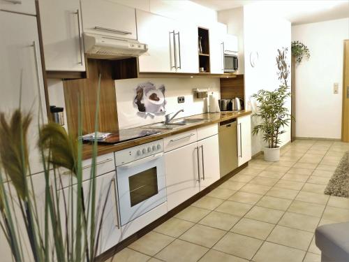 Sterne-Ferienwohnung-Apartment Regnitztal