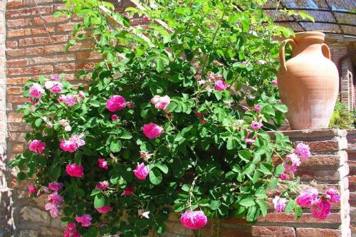 Borgo Santa Maria - image 12