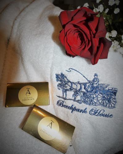 The Carriage Houses at Beechpark House - image 12