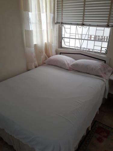 Eve Apartment
