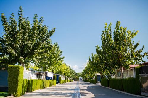 Camping Raco - image 8