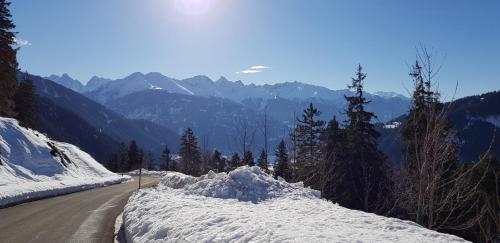 ทัศนียภาพ, Ferienhaus Heidi in ฟาสชินา