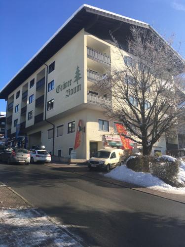 Apartment im Alpendorf St. Johann i.Po.-Alpendorf