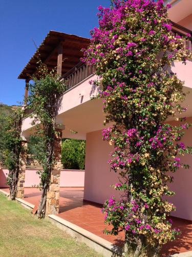 Residence Colle Maiorca