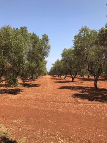 Villa Riserva Torre Guaceto SERRANOVA Puglia Carovigno 