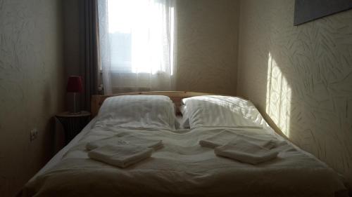 Aden Apartment free parking, Budapešť (fotografie 6)