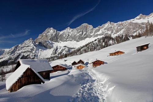 Appartement Helga Schladming