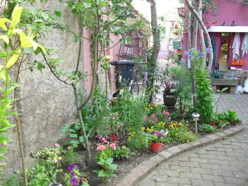 La Baraque, Colmar (foto 7)