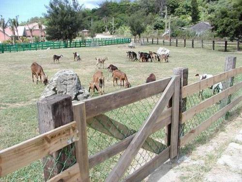 My Chateau Resort My Chateau Resort